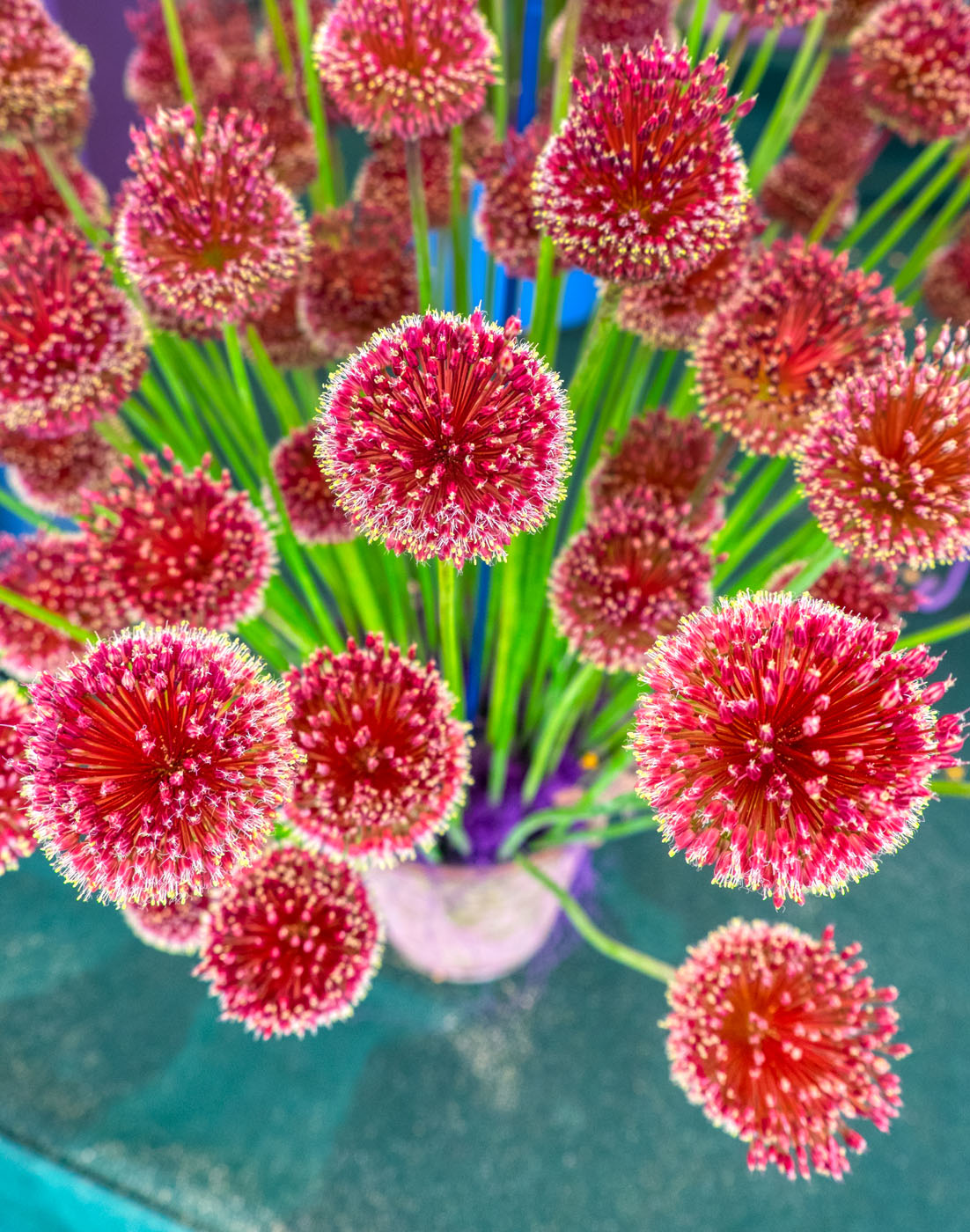 Fireworks Photographic Print ©Biglight Photo uk Fireworks Photographic Print ©Biglight Photo uk