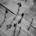 Solitary Photographic Print