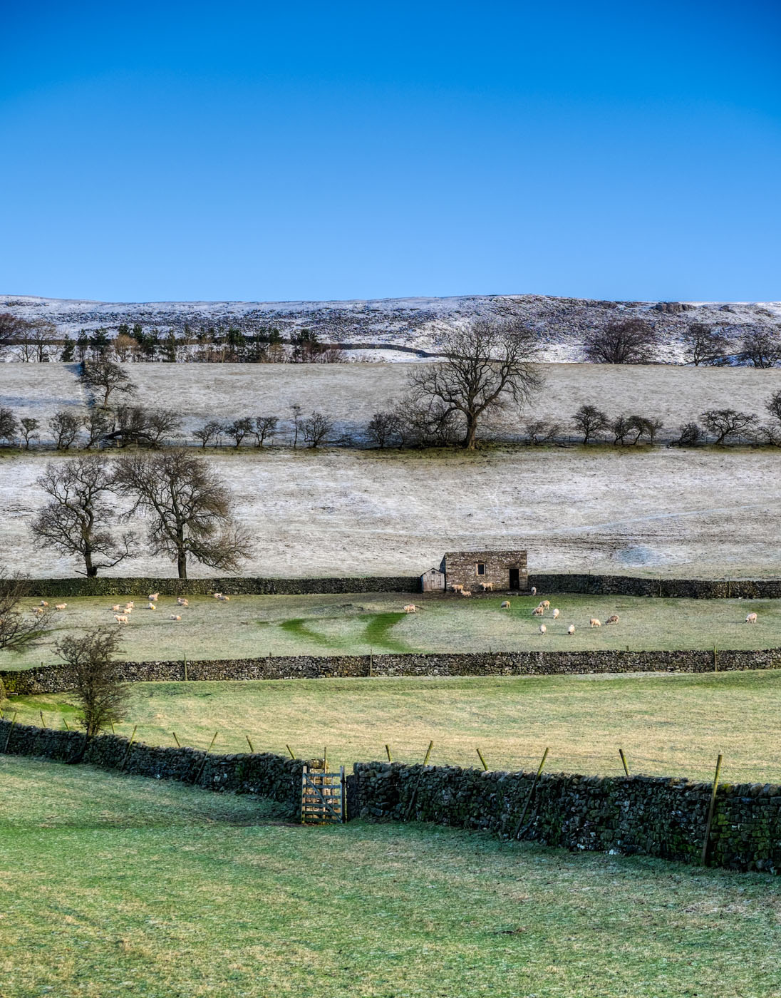Wensleydale Winter 1 Photographic Print ©Biglight Photo uk Wensleydale Winter 1 Photographic Print ©Biglight Photo uk