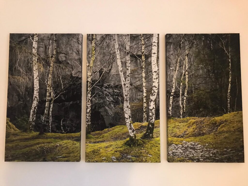 Customer Comment: Silver Birch at Hodge Close (Triptych)