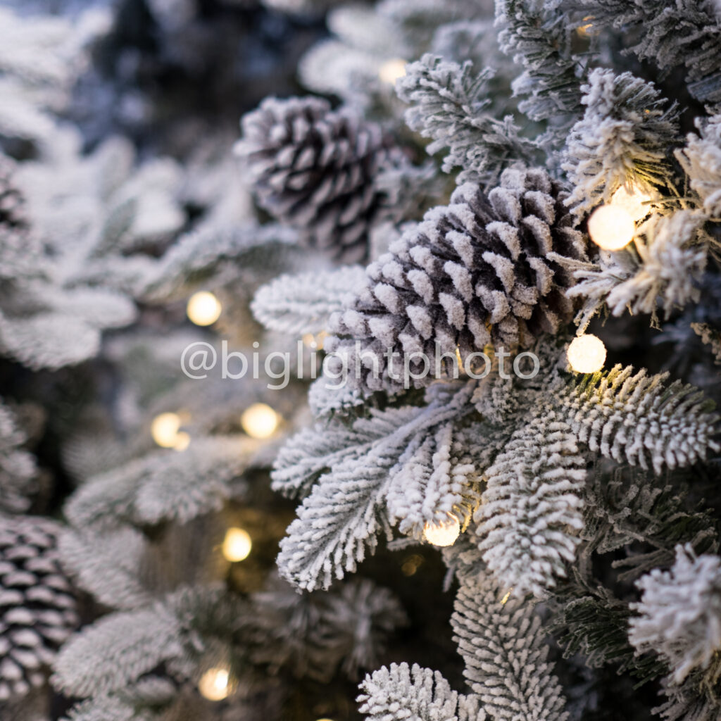 snow covered pine tree with pine cone & christmas lights